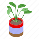 garden, plant, pot, isometric