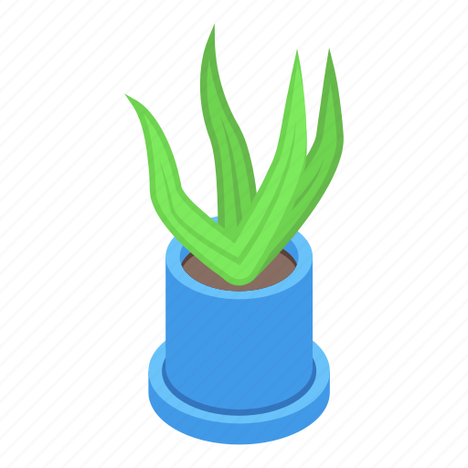 Eco, plant, pot, isometric icon - Download on Iconfinder