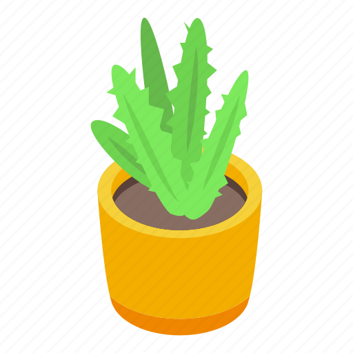 Organic, plant, pot, isometric icon - Download on Iconfinder
