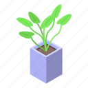 seed, plant, pot, isometric