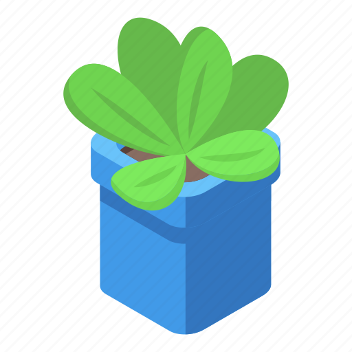 Succulent, flower, pot, isometric icon - Download on Iconfinder
