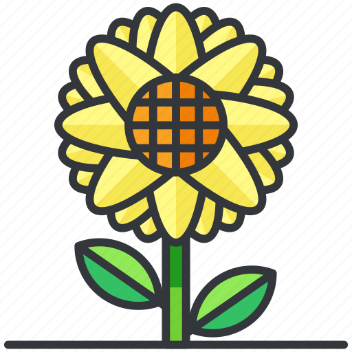 Ecology, flower, nature, plant, sunflower icon - Download on Iconfinder