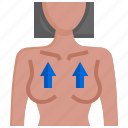 breast1, reconstruction, plastic, surgery, human, body, prosthesis