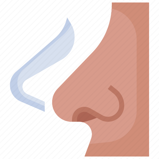 Nose1, rhinoplasty, plastic, surgery, beauty, healthcare, and icon - Download on Iconfinder