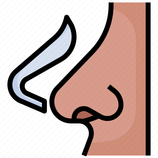 Nose1, rhinoplasty, plastic, surgery, beauty, healthcare, and icon - Download on Iconfinder