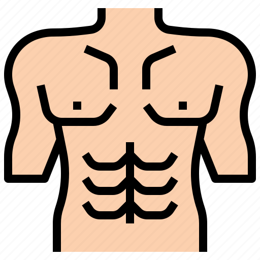 Body, building, plastic, surgery, parts, beauty icon - Download on Iconfinder