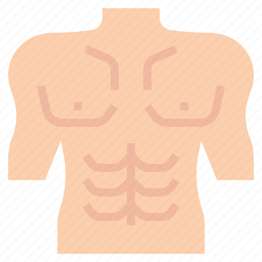Body, building, plastic, surgery, parts, beauty icon - Download on Iconfinder