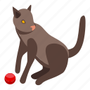 brown, playful, cat, isometric