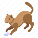 playful, home, cat, isometric