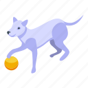 playful, dog, rubber, ball, isometric