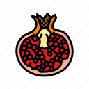 cut, pomegranate, fruit, red, food, half
