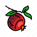 pomegranate, branch, leaf, fruit, red, food