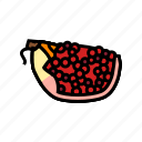pomegranate, cut, ripe, slice, fruit, red