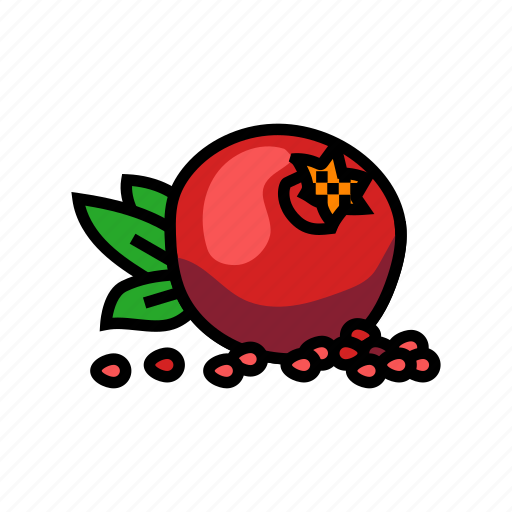 Pomegranate, whole, grain, leaf, fruit, red icon - Download on Iconfinder