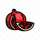 pomegranate, whole, slice, red, cut, fruit