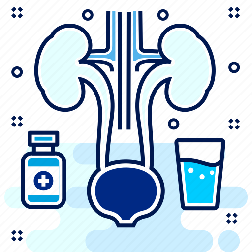 Hospital, kidney, medical, organ, treatment icon - Download on Iconfinder