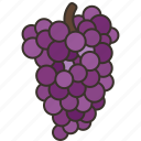 grapes, fruit, bunch, grapevine, wine