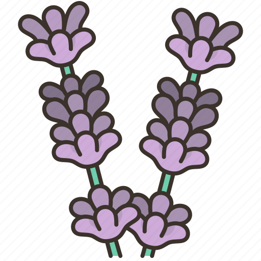 Lavender, blossom, garden, aroma, fragrance icon - Download on Iconfinder