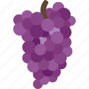 grapes, fruit, bunch, grapevine, wine