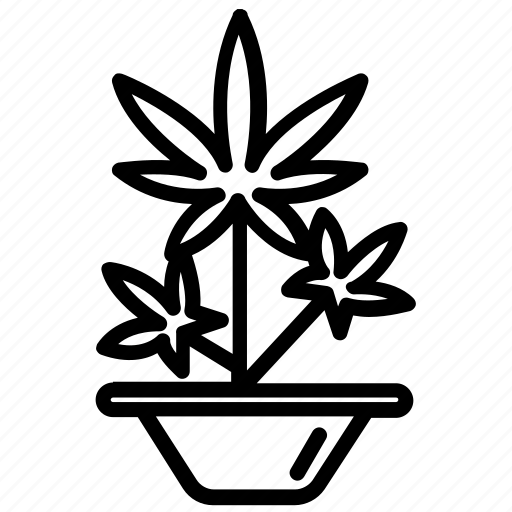 Cannabis plant, drug plant, kush plant, nature, pot plant icon - Download on Iconfinder