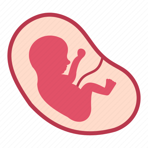 Baby, fetus, human, life, medical, pregnancy, womb icon - Download on Iconfinder