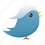 bird, social media, twitter, animal, communication, media, social 
