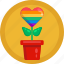 pride, lgbt, lesbian, flower, gay, homosexual 