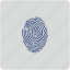 biometry, fingerprint, form, identity, person 