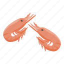 shrimp, protein, isometric