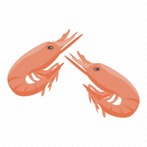 Shrimp, protein, isometric icon - Download on Iconfinder
