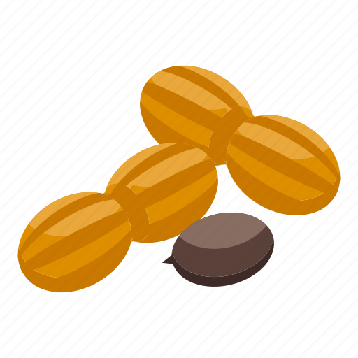 Hazelnut, protein, isometric icon - Download on Iconfinder