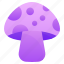mushroom, fungi, spore, edible mushroom, fairy mushroom 