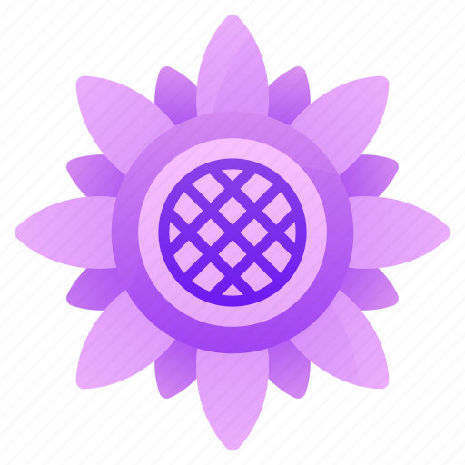 Sunflower, flower, plant, sunflower seed, sunflower petals icon - Download on Iconfinder