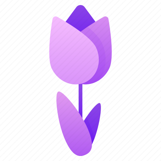 Tulip, flower, flower bulb, tulip petals, dutch flower icon - Download on Iconfinder