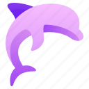 dolphin, marine mammal, bottlenose dolphin, intelligent dolphin, ocean animal