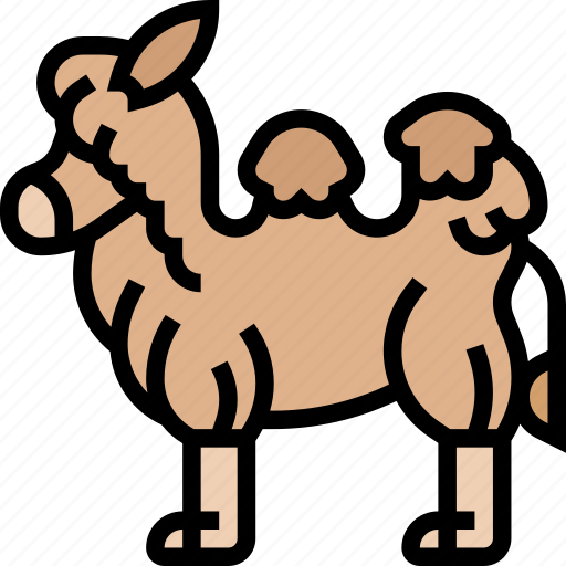 Camel, desert, animal, nature, transportation icon - Download on Iconfinder