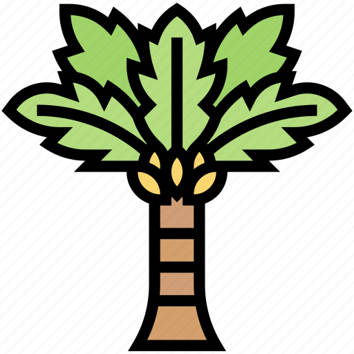 Palm, tree, plant, oasis, nature icon - Download on Iconfinder