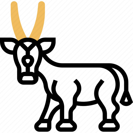 Oryx, arabian, wildlife, animal, desert icon - Download on Iconfinder