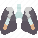 lungs, smoker, cigarette, disease, danger