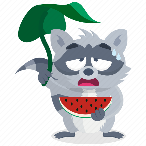 Emoji, emoticon, racoon, smiley, sticker, watermelon icon - Download on Iconfinder