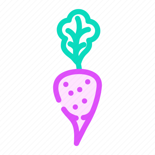 Purple, radish, food, organic, vegetable, healthy icon - Download on Iconfinder