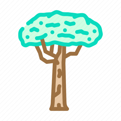 Brazil, nut, tree, rainforest, forest, green icon - Download on Iconfinder