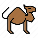 camel, animal, ramadan, mammal, arab