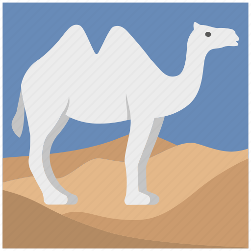 Animal, camel, desert, journey, mammal, tourism, travel icon - Download on Iconfinder