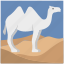 animal, camel, desert, journey, mammal, tourism, travel 