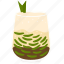dawet, cendol, indonesia, takjil, ramadan, iftar, dessert, illustration, drink 