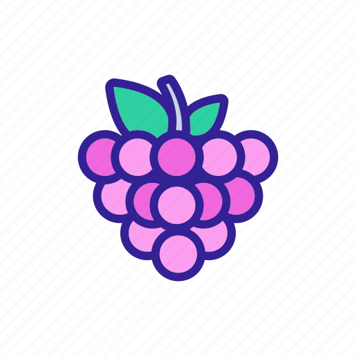 Art, berry, contour, drawing, fruit, raspberry icon - Download on Iconfinder