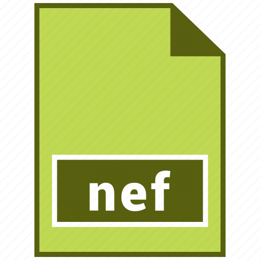 Nef, raster file format icon - Download on Iconfinder