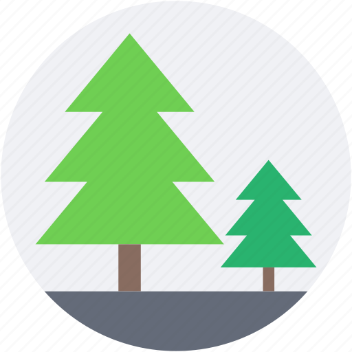 Conifer trees, fir trees, forest, park, pine trees icon - Download on Iconfinder