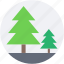 conifer trees, fir trees, forest, park, pine trees 